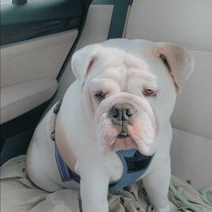 Meet your Posher, Mya